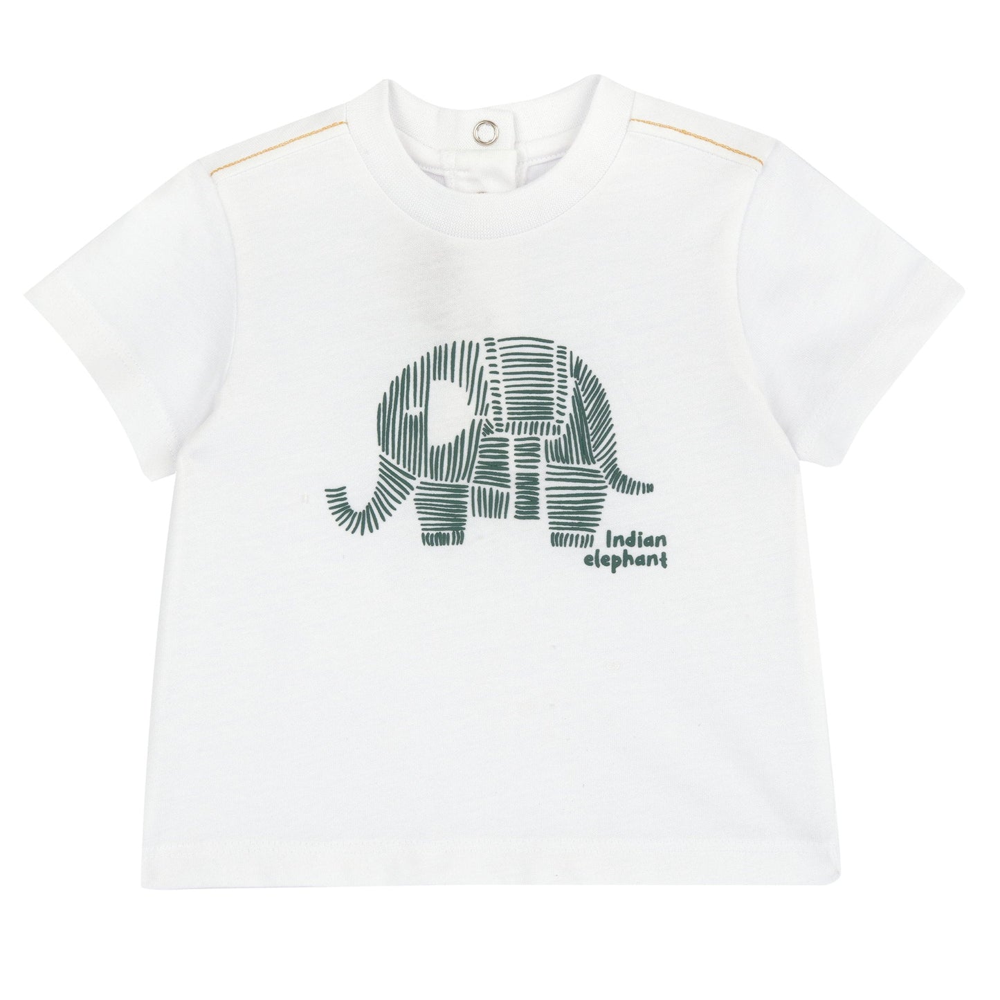 Maglietta manica corta elefante