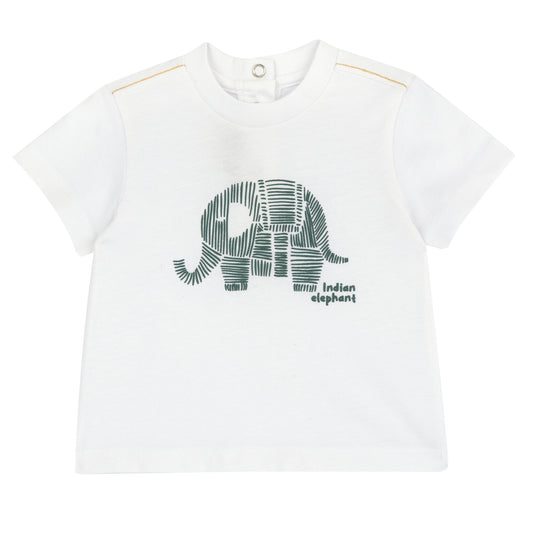 Maglietta manica corta elefante