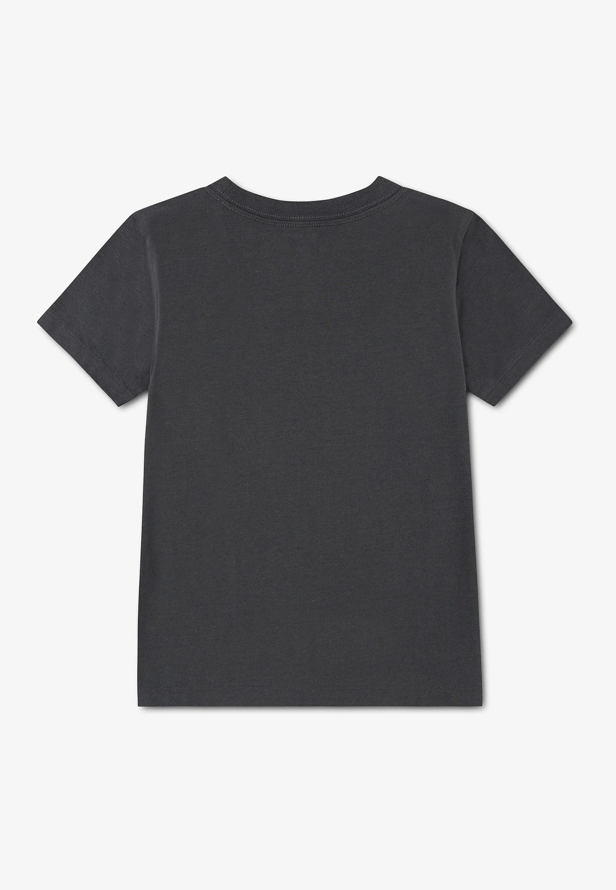 T-Shirt Converse Sneaker